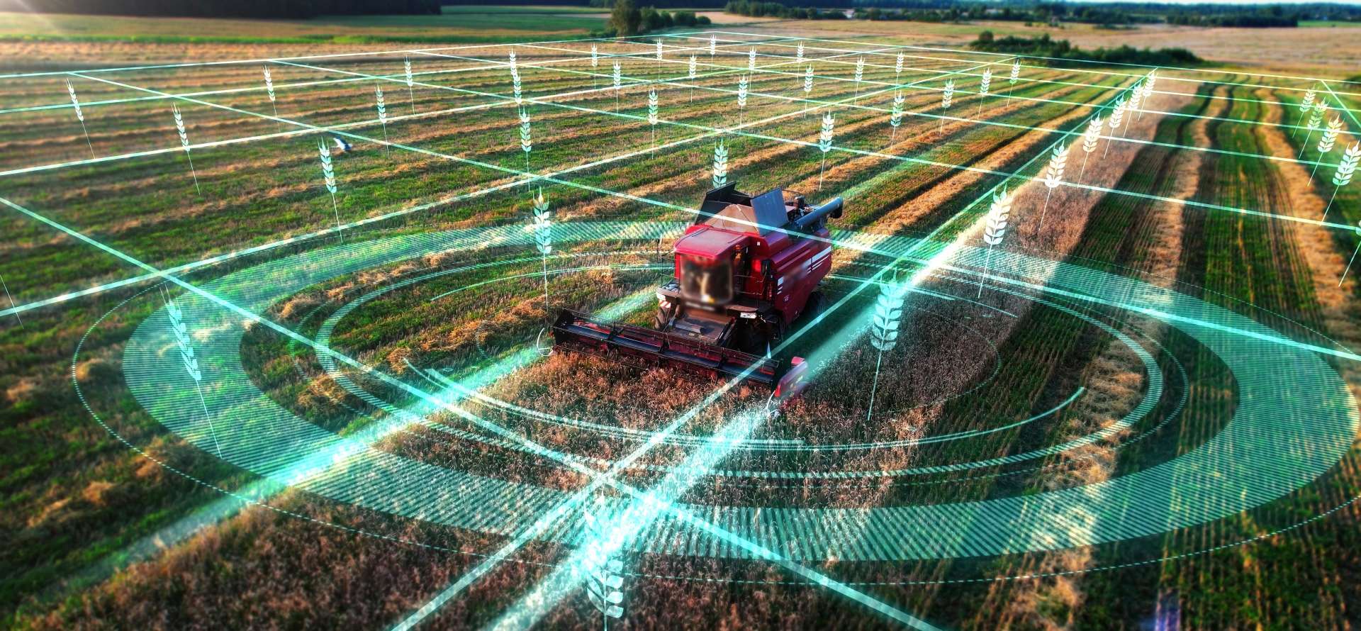 Autonomous agricultural robot using Vision AI and GPS tracking in a crop field
AI画像認識とGPS測位を活用して圃場を自律走行する農業ロボット